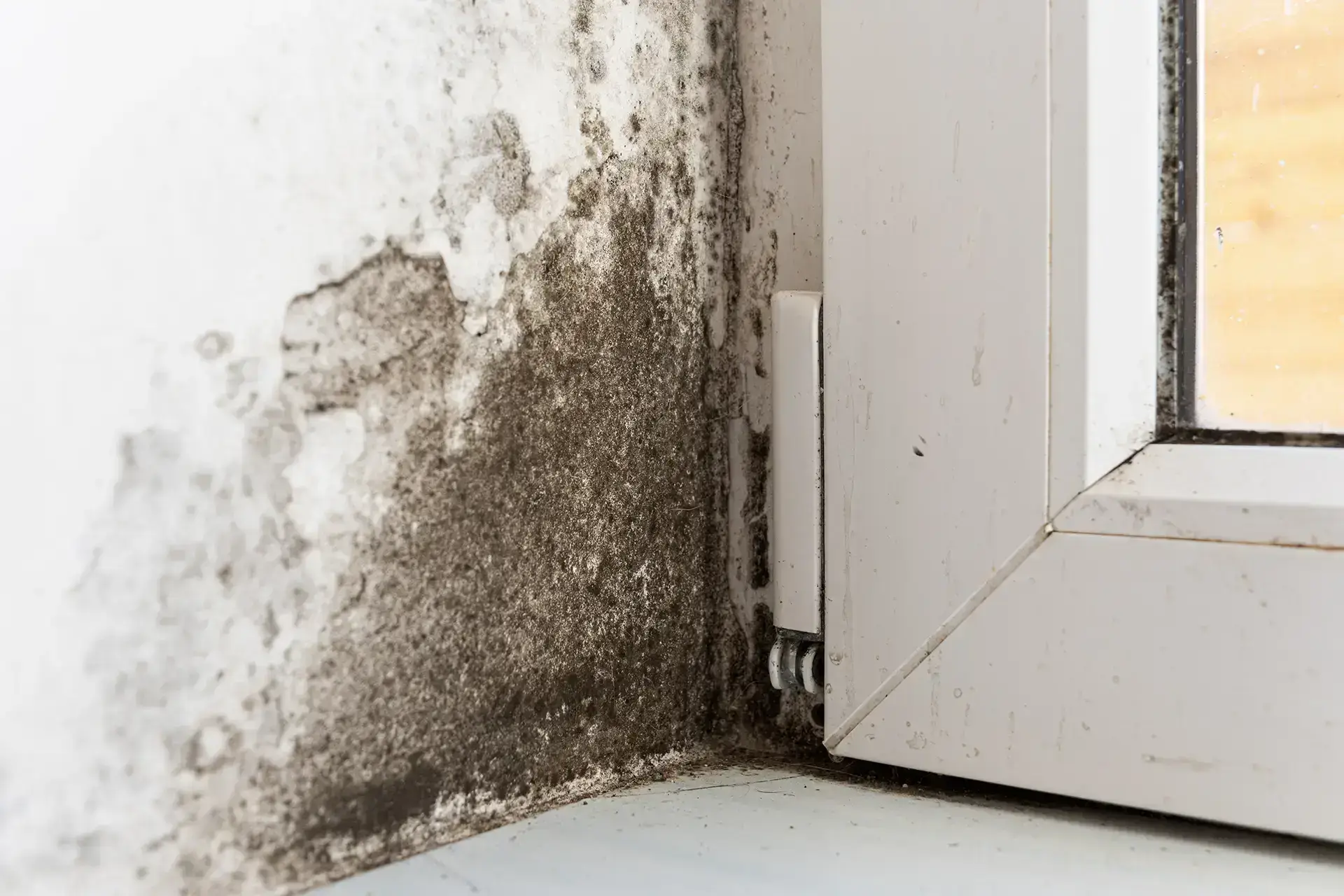 The Leading Water Damage Restoration Company in Macon — Macon, GA