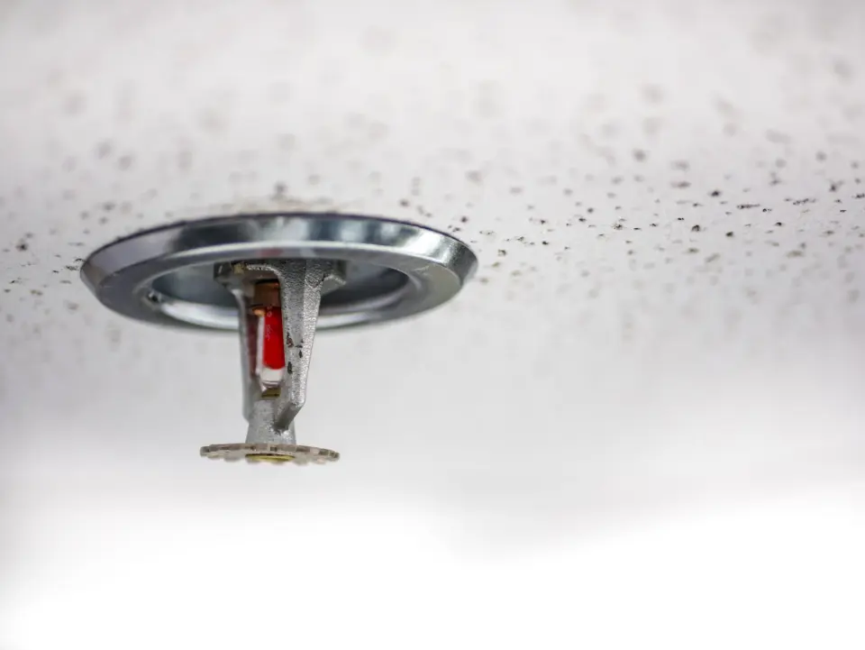 water damage restoration in Robins Air Force Base, GA